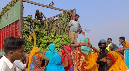 छठका लागि भारतबाट ५० लाखको केरा आयात