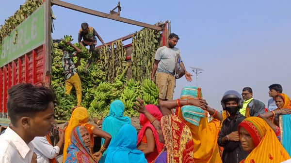 छठका लागि भारतबाट ५० लाखको केरा आयात