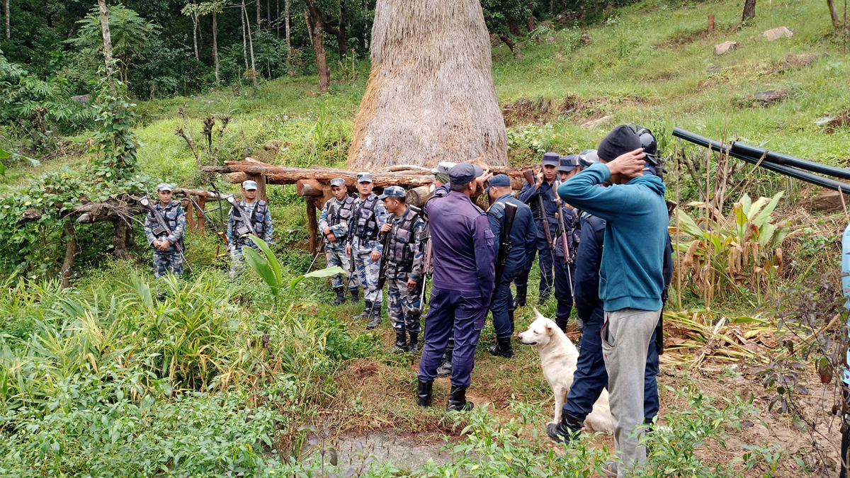 मानव–वन्यजन्तु द्वन्द्व बढ्दै