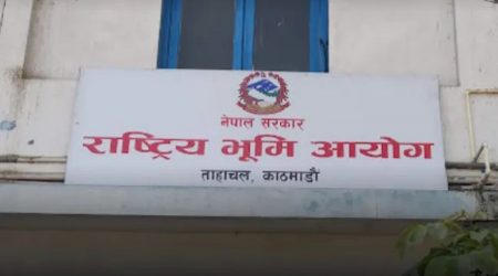 भूमि आयोग गठन, संयोजकत्वमा रिजाल