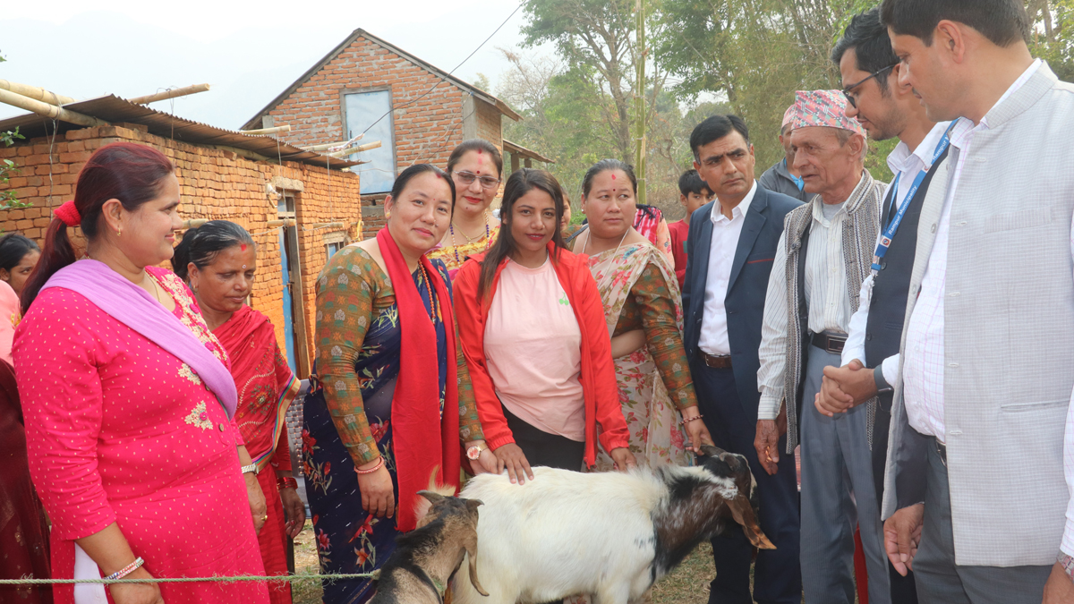 महिलालाई व्यावसायिकतामा जोड्न बाख्रा उपहार