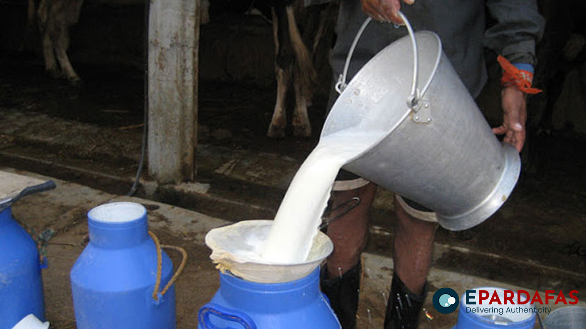 तराईमा सुक्खा मौसमले दूध उत्पादनमा कमी