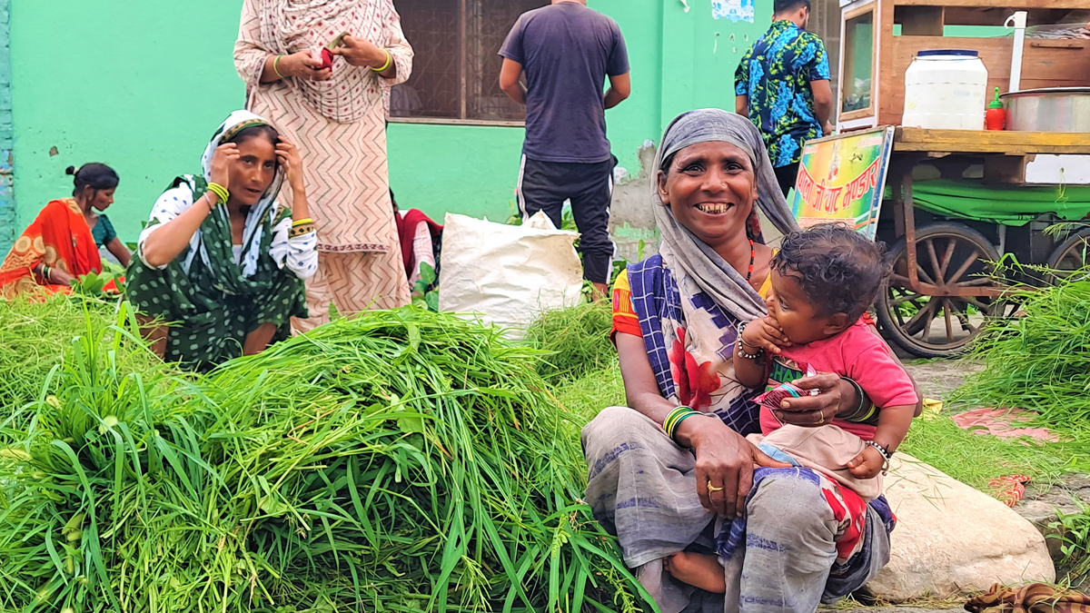 नेपालगञ्ज सहर : टाँगा चल्न छाड्यो, घाँस पनि बिक्री हुन छाड्यो