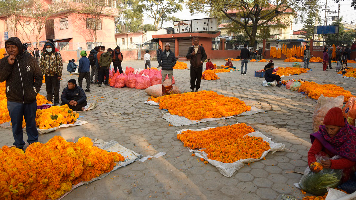 काठमाडौंका यी चार स्थानमा बेचिँदै छ स्वदेशी फूल-माला, महानगर प्रहरीले बिक्रीस्थल पुर्‍याउँदै छ किसानलाई