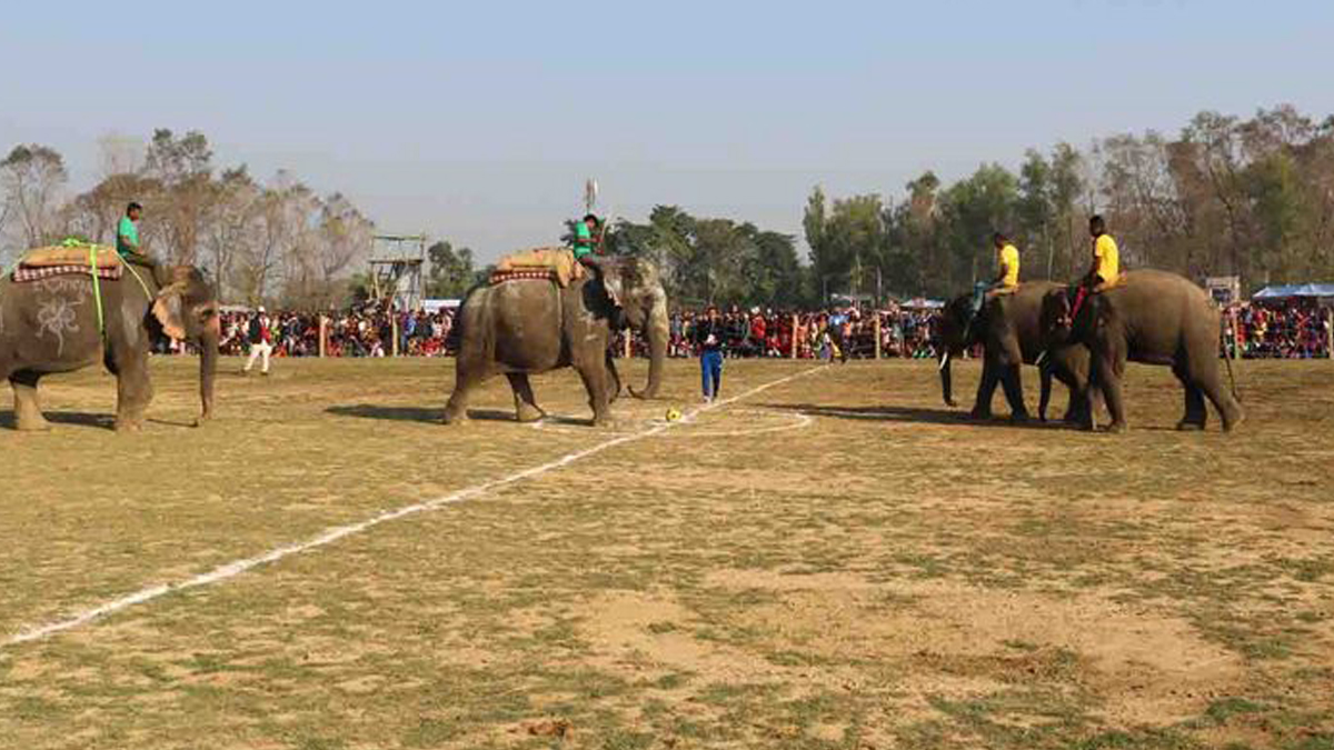 चार वर्षपछि सौराहामा हात्ती महोत्सवको तयारी