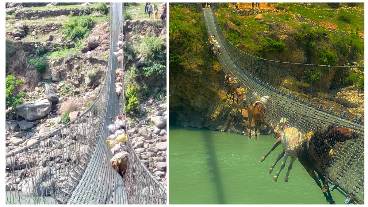 कर्णालीको झोलुंगे पुलमा अड्किएका खच्चडको उद्धार, २ मरे