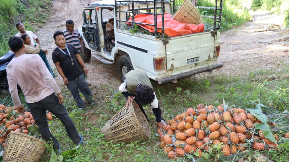 आम्दानीको बलियो स्रोत भुइँकटहर खेती