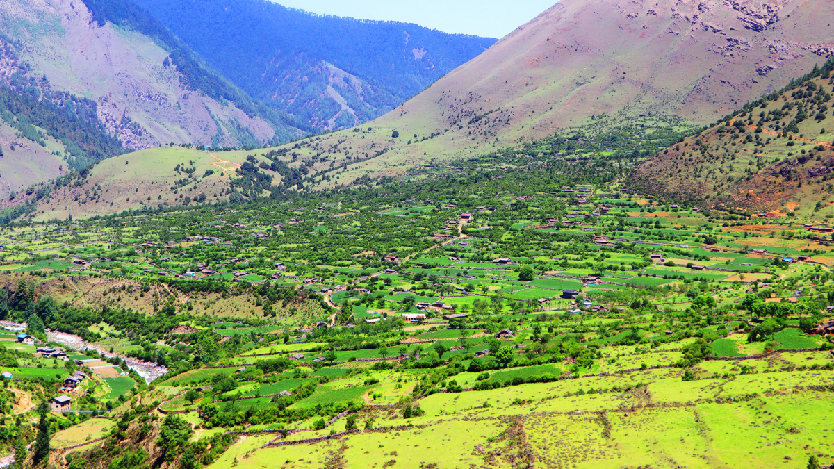 उज्यालो पर्खिरहेको निसेलढोर