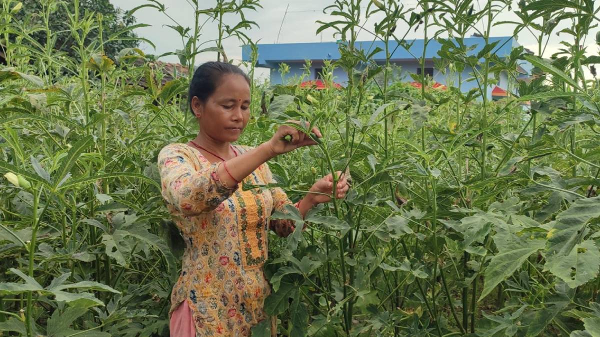 तरकारी खेतीबाटै छोराछोरीलाई डाक्टर र इन्जिनियर पढाउँदै उर्मिला