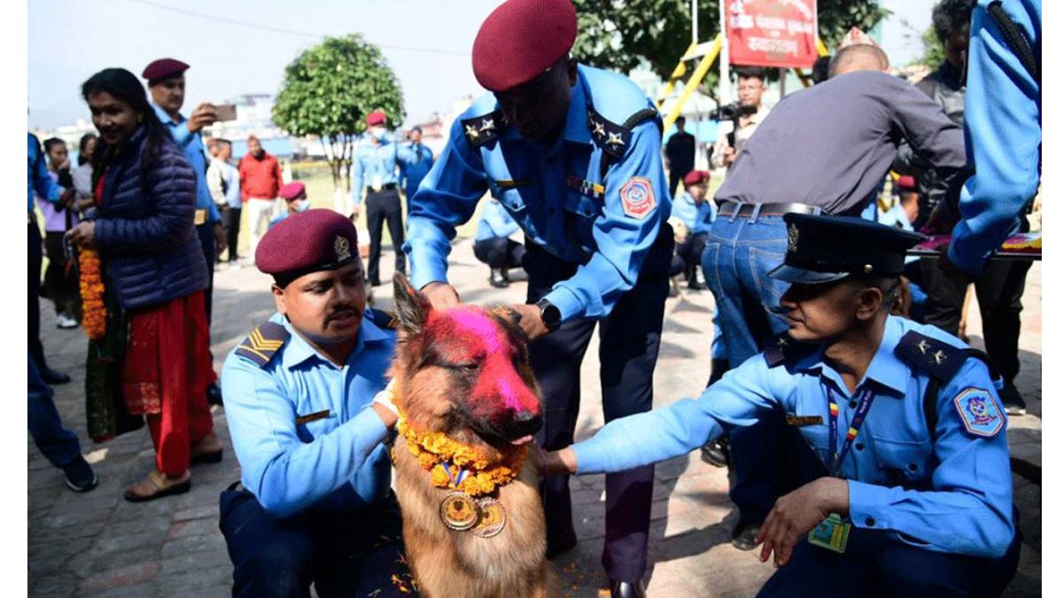 प्रहरीको ‘टाइगर’ कसरी बन्यो ‘उत्कृष्ट कुकुर’ ?