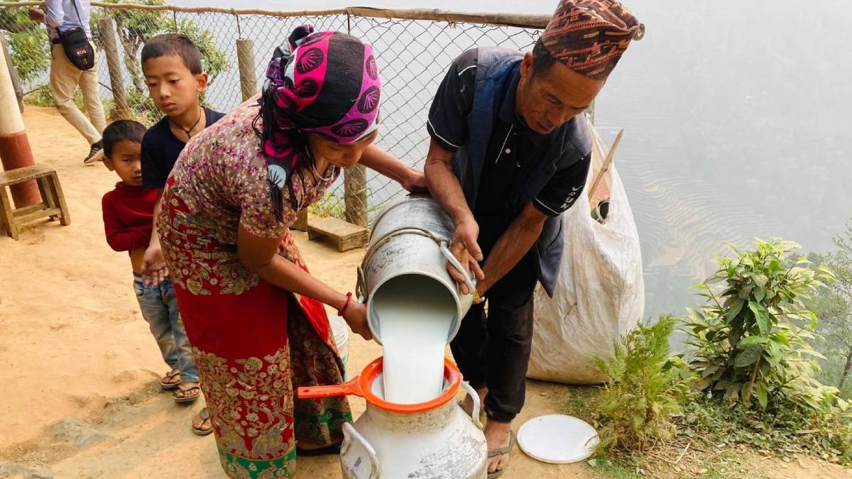 सहकारीमार्फत दूधको बजारीकरण भएपछि किसान उत्साहित