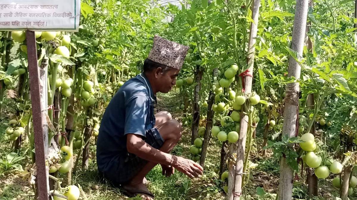 गाउँकै अगुवा किसान, गाउँले एफएम दाइ