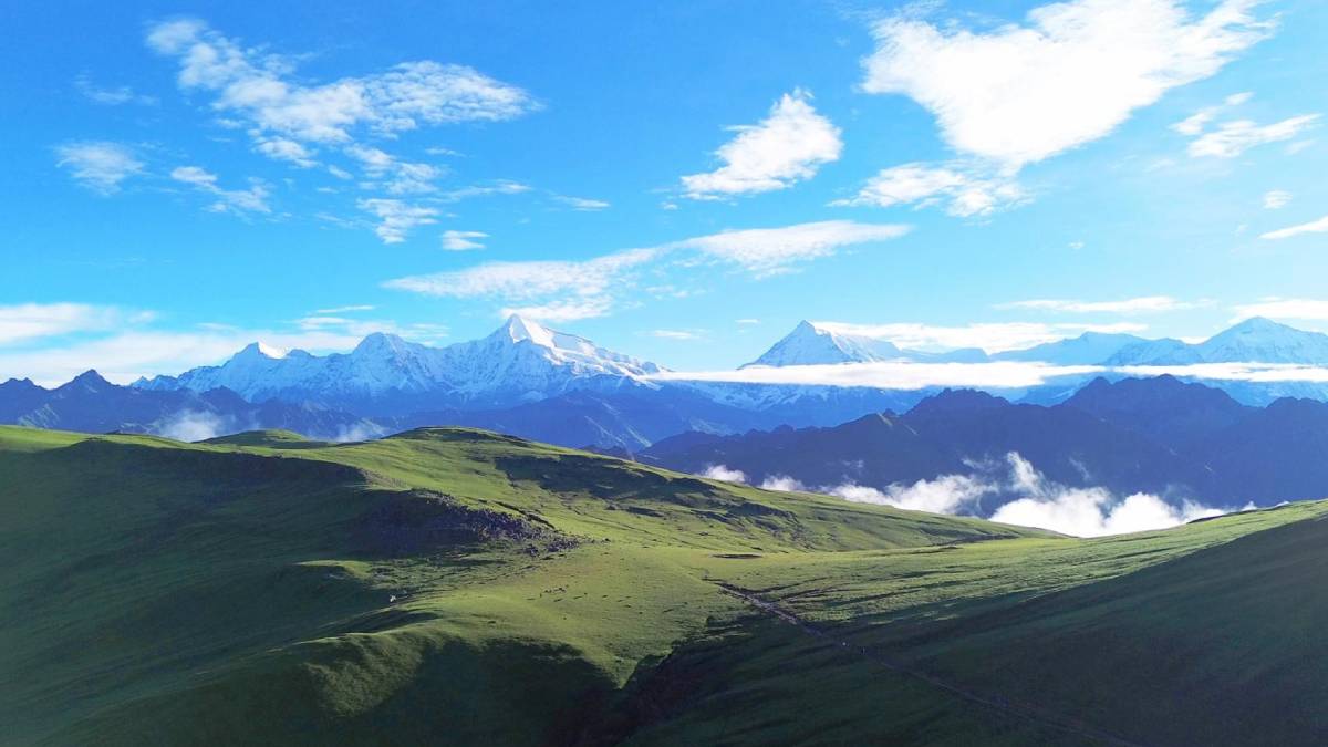 चिसो बढेपछि सुनसान ‘बुकीपाटन’