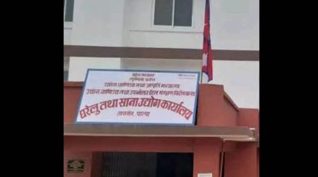 पाल्पामा नयाँ उद्योग दर्ताभन्दा खारेजको संख्या धेरै