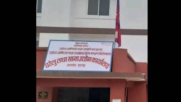 पाल्पामा नयाँ उद्योग दर्ताभन्दा खारेजको संख्या धेरै