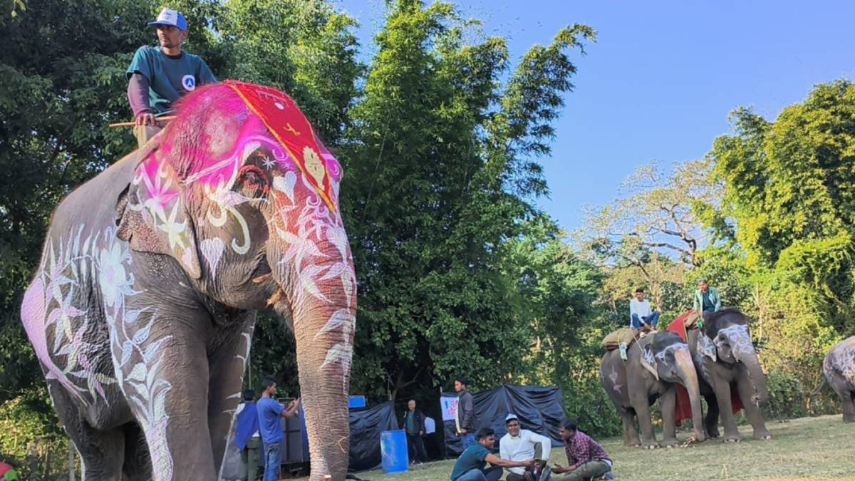 बिजुलीकलीलाई हात्ती सुन्दरी प्रतियोगिताको उपाधि