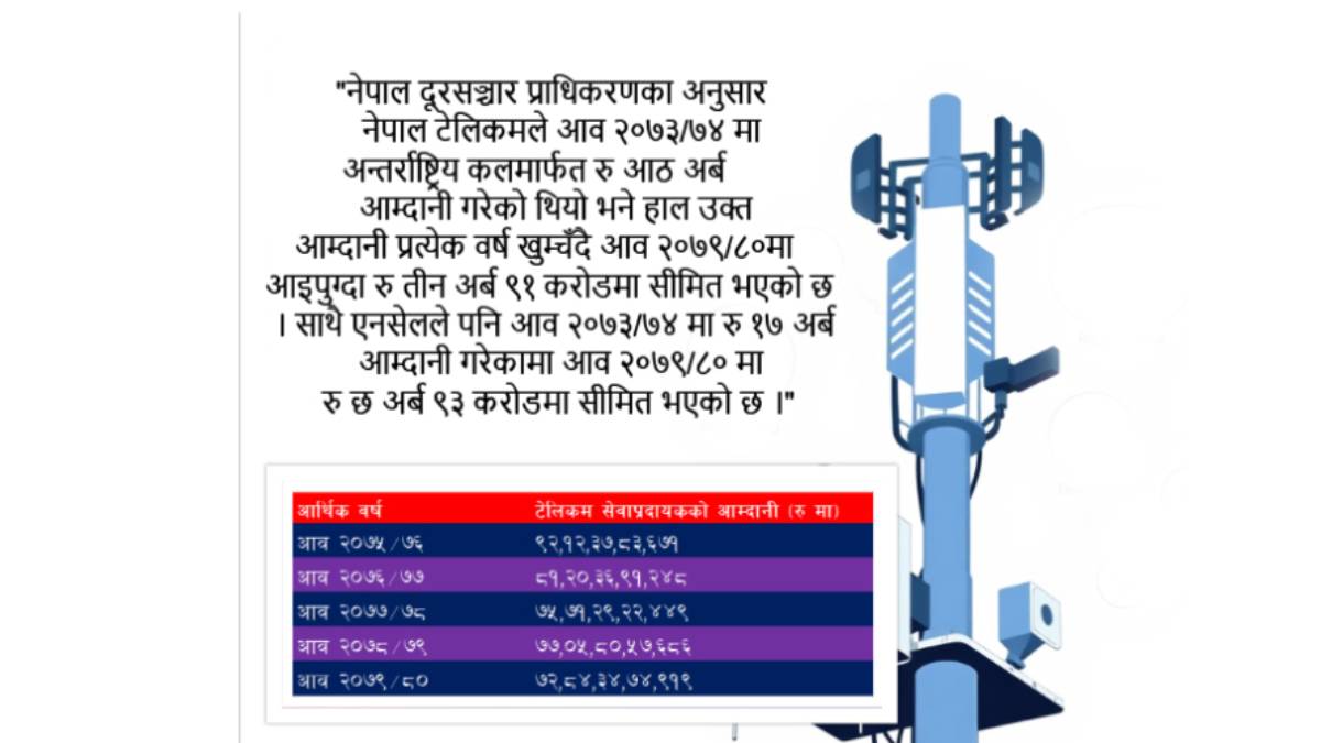 नीतिगत सुधार पर्खंदै टेलिकम कम्पनी