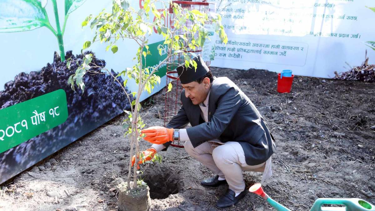 ग्लोबल आइएमई बैंकको १८औँ वार्षिकोत्सवको अवसरमा १८ हजार बृक्षारोपण गर्ने घोषणा